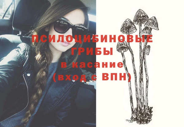 не бодяженный Козловка